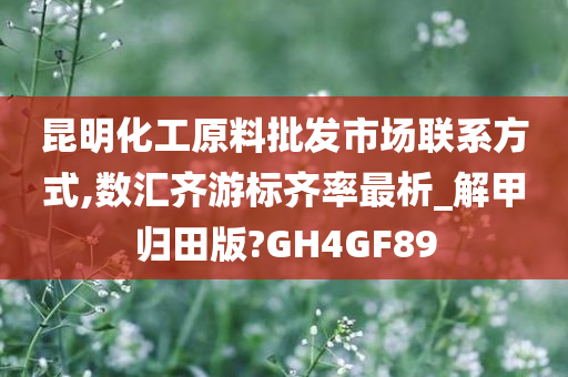 昆明化工原料批发市场联系方式,数汇齐游标齐率最析_解甲归田版?GH4GF89