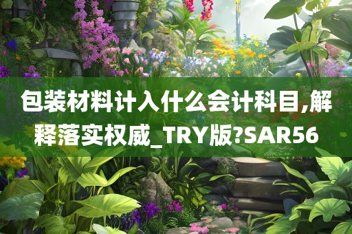 包装材料计入什么会计科目,解释落实权威_TRY版?SAR56