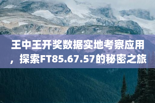 王中王开奖数据实地考察应用，探索FT85.67.57的秘密之旅