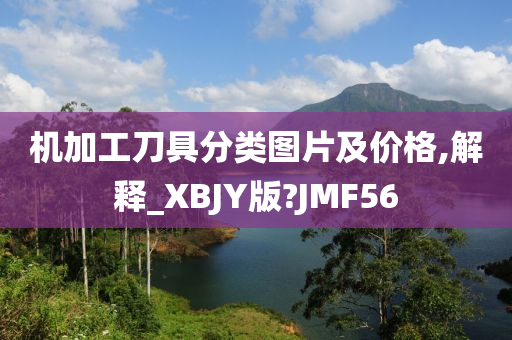 机加工刀具分类图片及价格,解释_XBJY版?JMF56