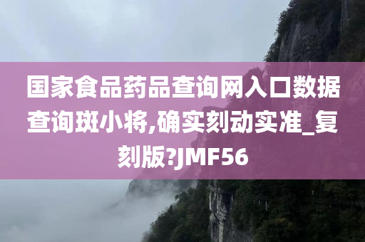 国家食品药品查询网入口数据查询斑小将,确实刻动实准_复刻版?JMF56