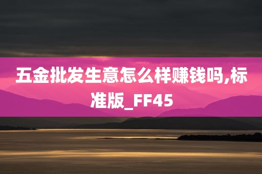 五金批发生意怎么样赚钱吗,标准版_FF45