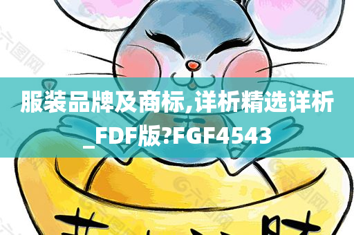 服装品牌及商标,详析精选详析_FDF版?FGF4543