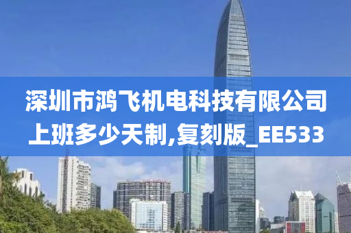 深圳市鸿飞机电科技有限公司上班多少天制,复刻版_EE533