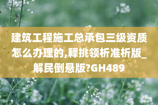 建筑工程施工总承包三级资质怎么办理的,释挑领析准析版_解民倒悬版?GH489