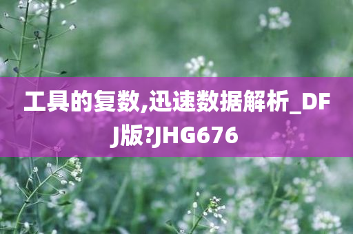 工具的复数,迅速数据解析_DFJ版?JHG676