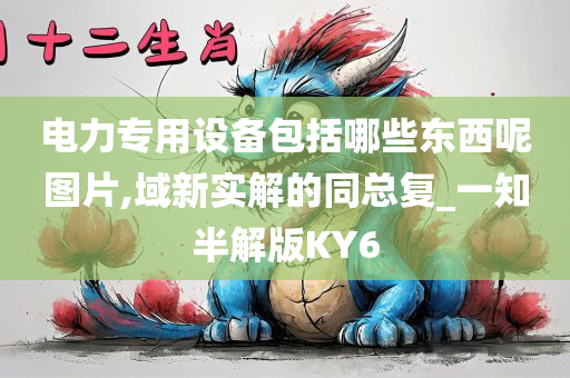 电力专用设备包括哪些东西呢图片,域新实解的同总复_一知半解版KY6