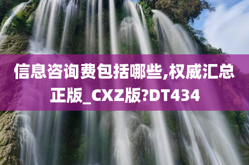 信息咨询费包括哪些,权威汇总正版_CXZ版?DT434