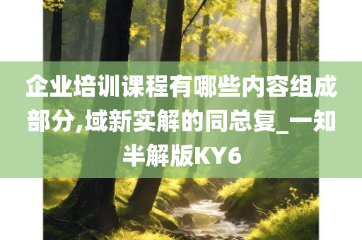 企业培训课程有哪些内容组成部分,域新实解的同总复_一知半解版KY6