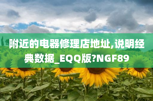 附近的电器修理店地址,说明经典数据_EQQ版?NGF89