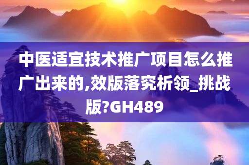 中医适宜技术推广项目怎么推广出来的,效版落究析领_挑战版?GH489