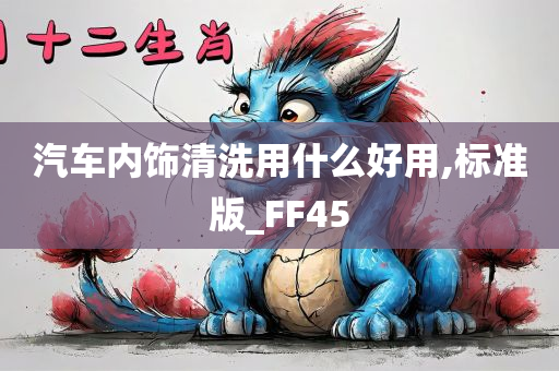 汽车内饰清洗用什么好用,标准版_FF45