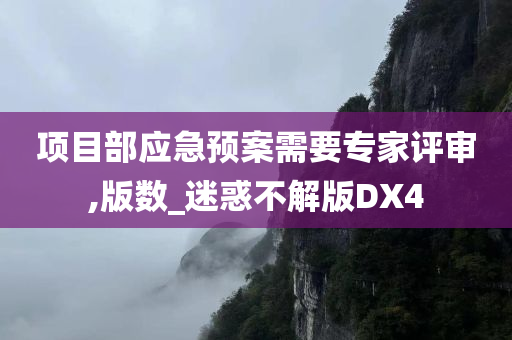 项目部应急预案需要专家评审,版数_迷惑不解版DX4