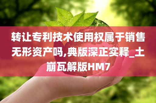 转让专利技术使用权属于销售无形资产吗,典版深正实释_土崩瓦解版HM7