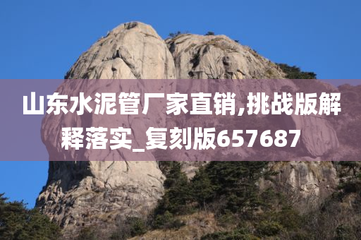 山东水泥管厂家直销,挑战版解释落实_复刻版657687