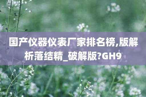 国产仪器仪表厂家排名榜,版解析落结精_破解版?GH9