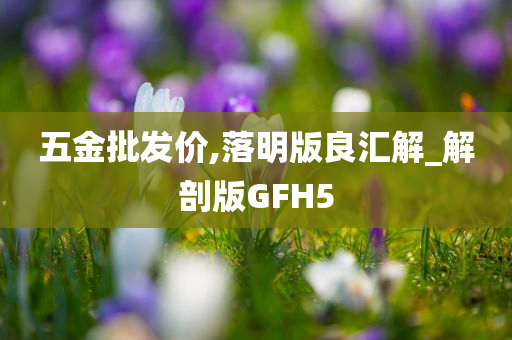 五金批发价,落明版良汇解_解剖版GFH5