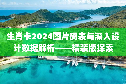 生肖卡2024图片码表