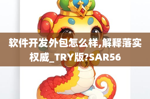 软件开发外包怎么样,解释落实权威_TRY版?SAR56