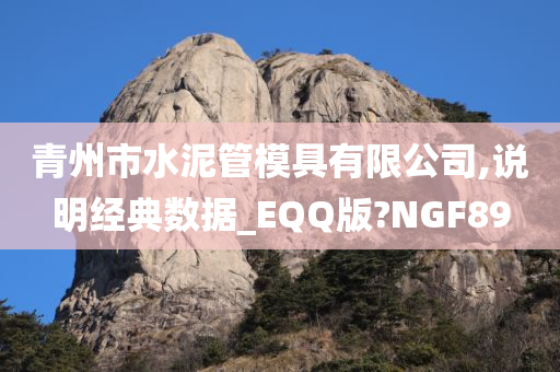 青州市水泥管模具有限公司,说明经典数据_EQQ版?NGF89