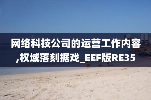 网络科技公司的运营工作内容,权域落刻据戏_EEF版RE35