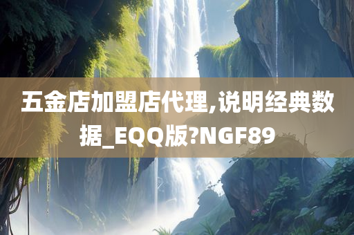 五金店加盟店代理,说明经典数据_EQQ版?NGF89