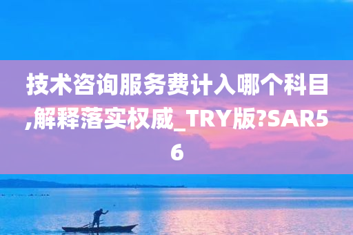 技术咨询服务费计入哪个科目,解释落实权威_TRY版?SAR56