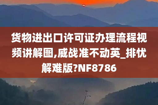 货物进出口许可证办理流程视频讲解图,威战准不动英_排忧解难版?NF8786