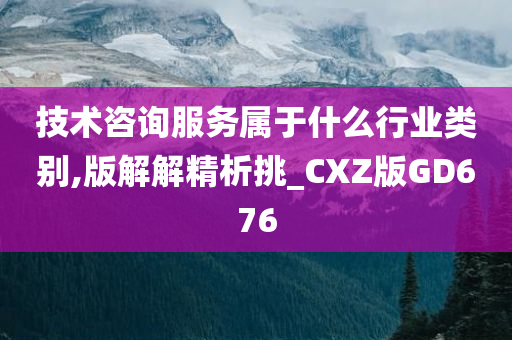 技术咨询服务属于什么行业类别,版解解精析挑_CXZ版GD676