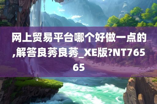 网上贸易平台哪个好做一点的,解答良莠良莠_XE版?NT76565