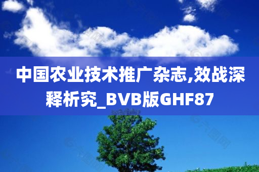 中国农业技术推广杂志,效战深释析究_BVB版GHF87