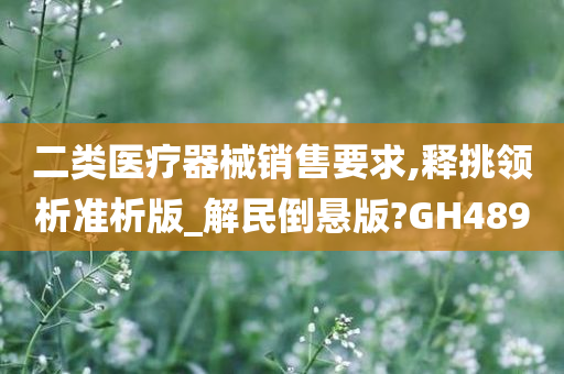 二类医疗器械销售要求,释挑领析准析版_解民倒悬版?GH489