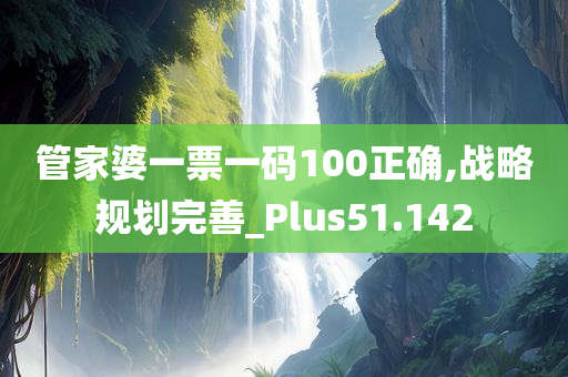 管家婆一票一码100正确,战略规划完善_Plus51.142