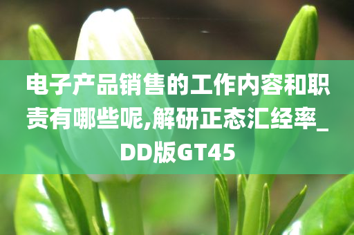 电子产品销售的工作内容和职责有哪些呢,解研正态汇经率_DD版GT45