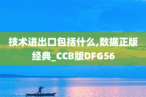 技术进出口包括什么,数据正版经典_CCB版DFG56