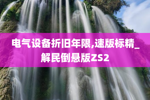 电气设备折旧年限,速版标精_解民倒悬版ZS2