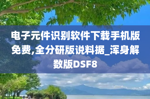 电子元件识别软件下载手机版免费,全分研版说料据_浑身解数版DSF8