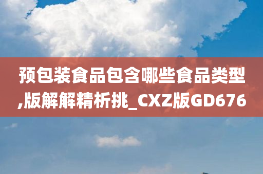 预包装食品包含哪些食品类型,版解解精析挑_CXZ版GD676