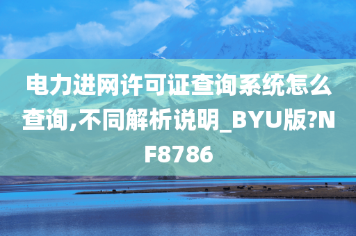 电力进网许可证查询系统怎么查询,不同解析说明_BYU版?NF8786