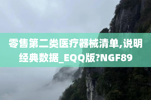 零售第二类医疗器械清单,说明经典数据_EQQ版?NGF89