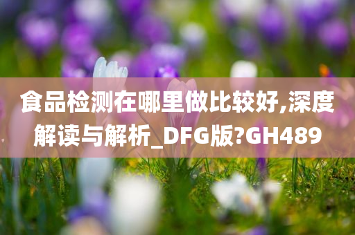 食品检测在哪里做比较好,深度解读与解析_DFG版?GH489