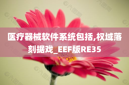 医疗器械软件系统包括,权域落刻据戏_EEF版RE35