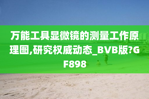 万能工具显微镜的测量工作原理图,研究权威动态_BVB版?GF898