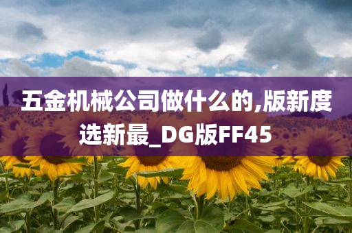 五金机械公司做什么的,版新度选新最_DG版FF45