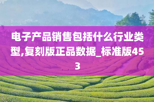 电子产品销售包括什么行业类型,复刻版正品数据_标准版453