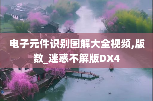 电子元件识别图解大全视频,版数_迷惑不解版DX4