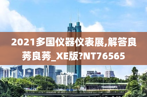 2021多国仪器仪表展,解答良莠良莠_XE版?NT76565