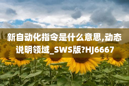 新自动化指令是什么意思,动态说明领域_SWS版?HJ6667