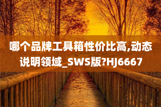 哪个品牌工具箱性价比高,动态说明领域_SWS版?HJ6667