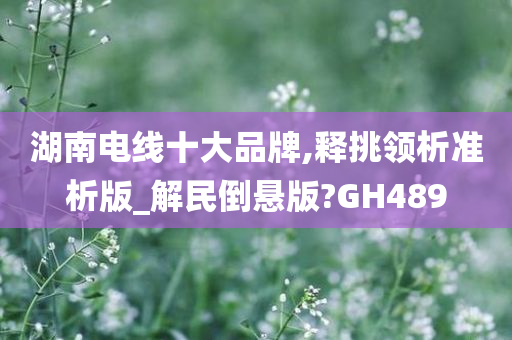 湖南电线十大品牌,释挑领析准析版_解民倒悬版?GH489